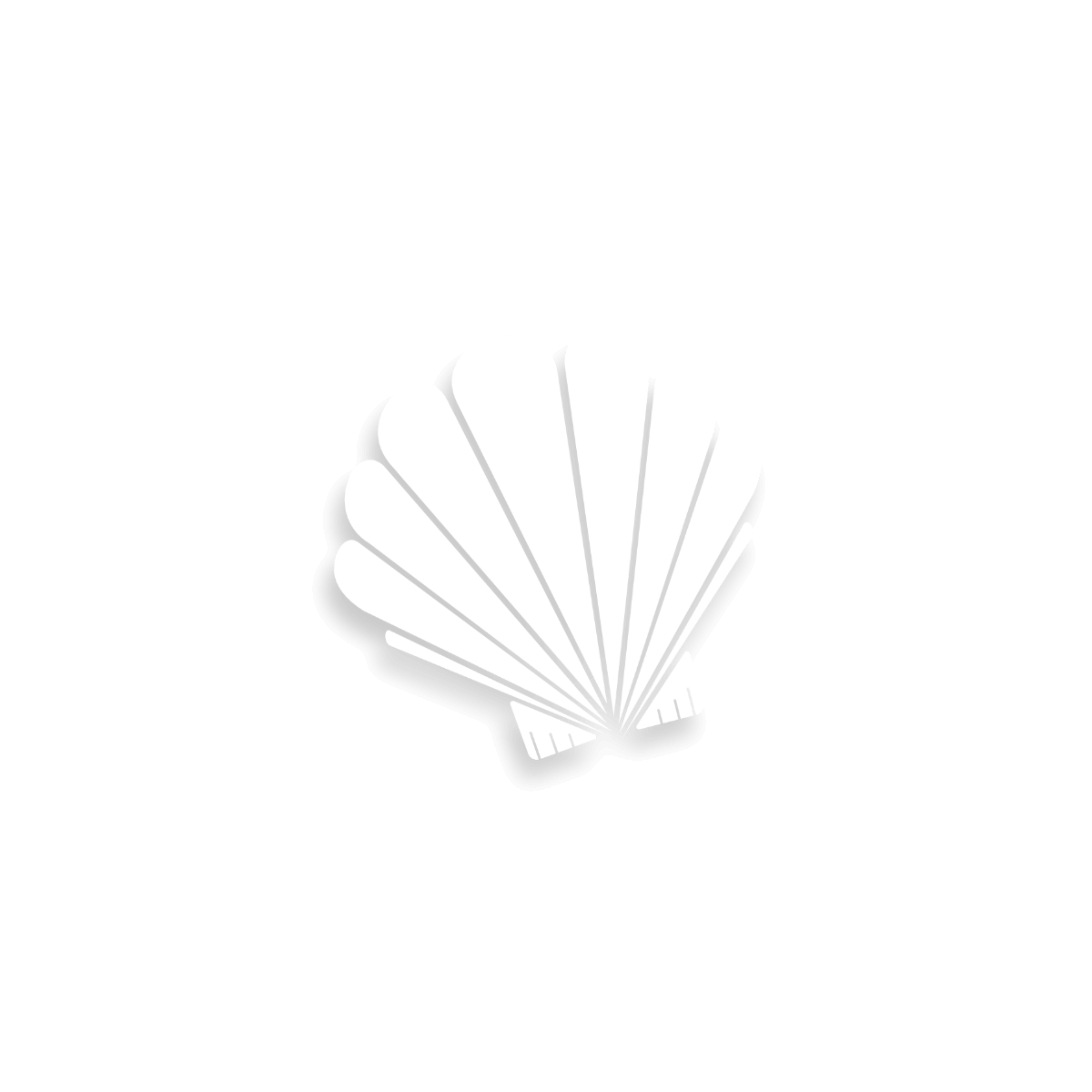 Marine Le Tallec – Photographe Finistère